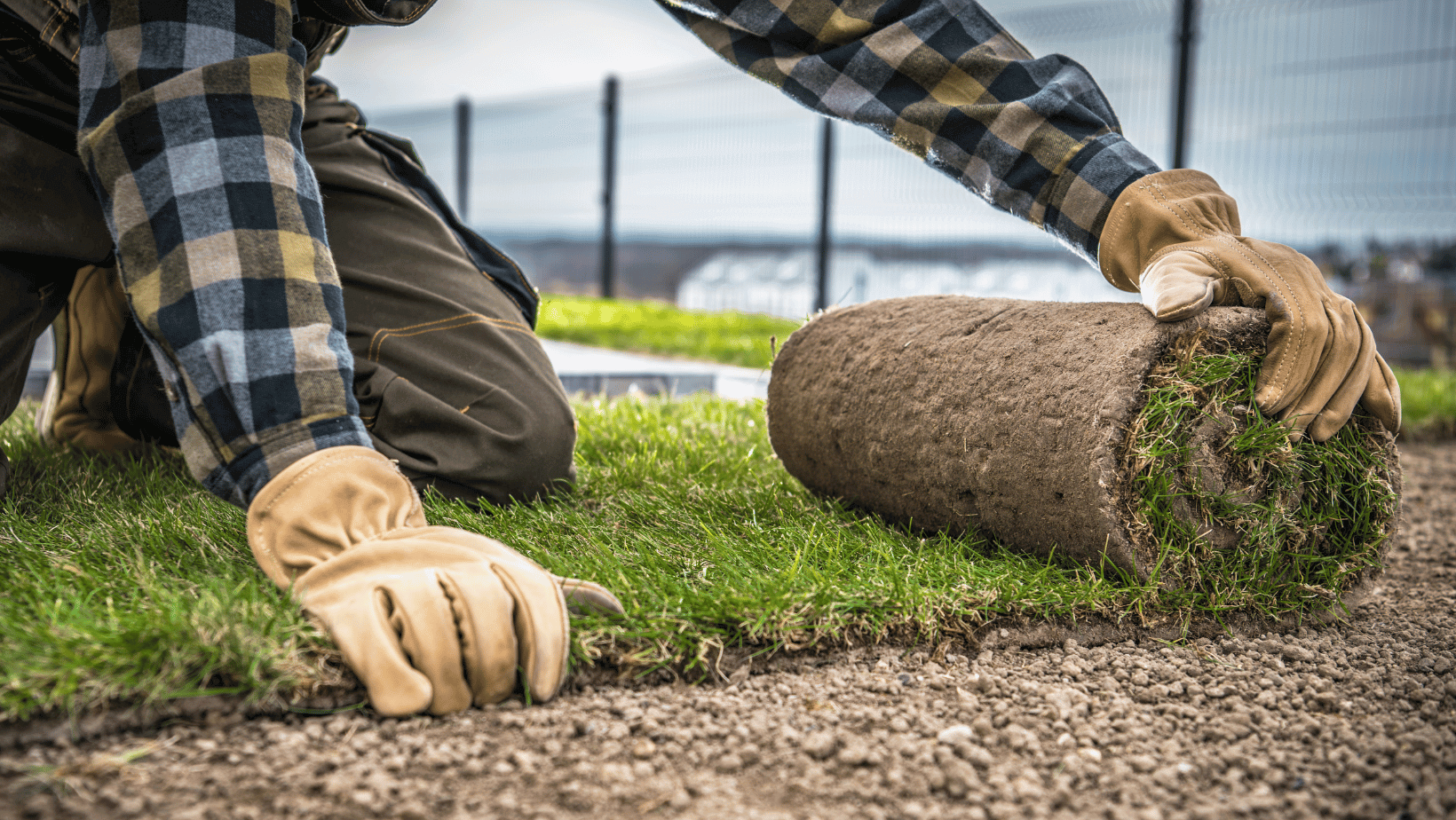 Turf Companies Peoria Az