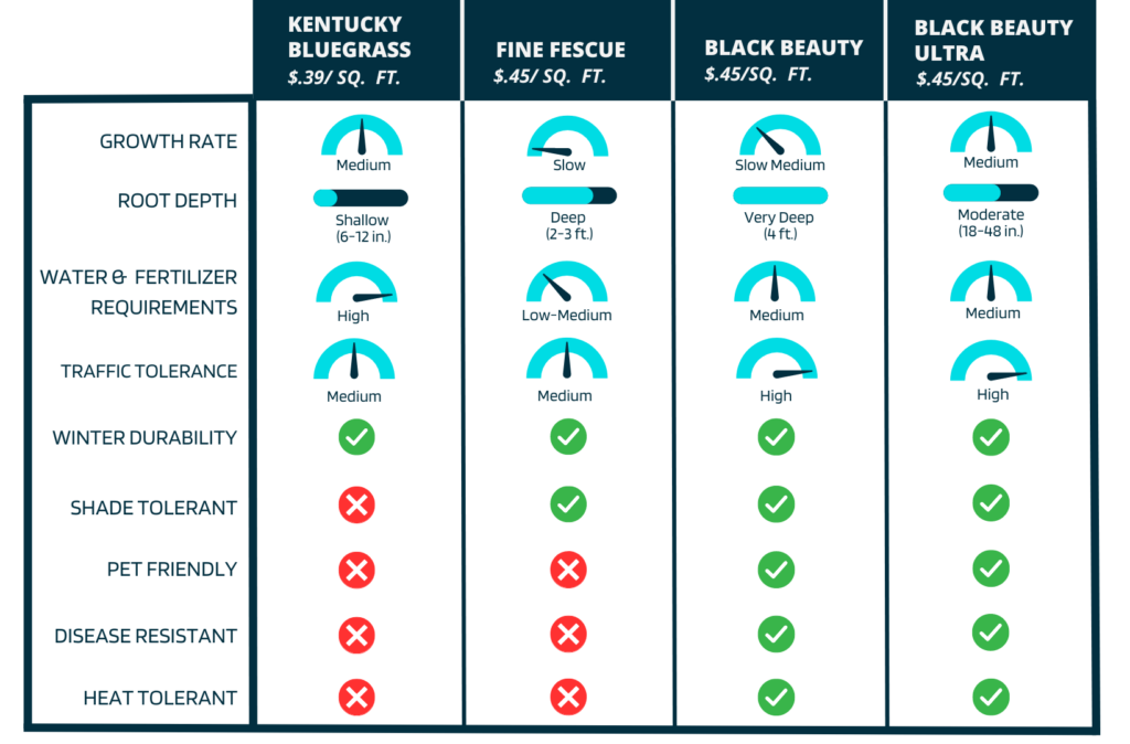 Kentucky Bluegrass, Fine Fescue. Black Beauty, and Black Beauty Ultra comparison chart